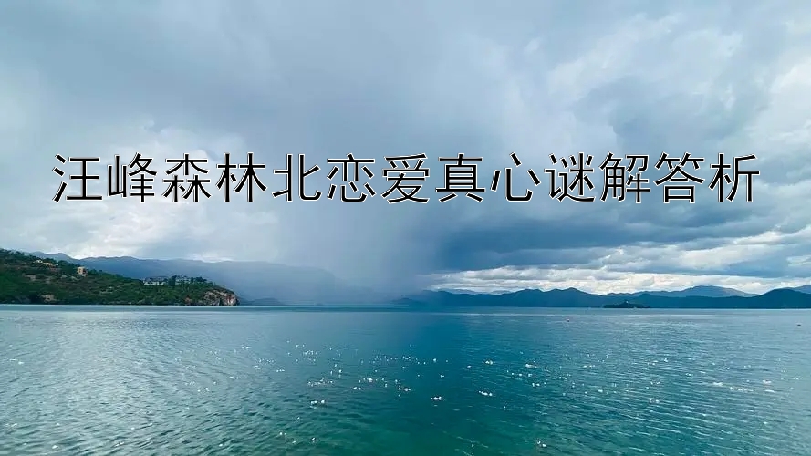 汪峰森林北恋爱真心谜解答析