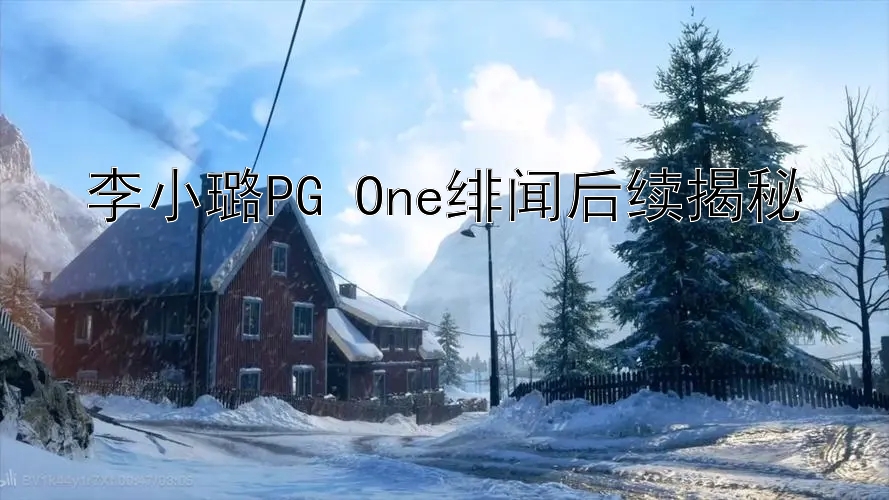 李小璐PG One绯闻后续揭秘