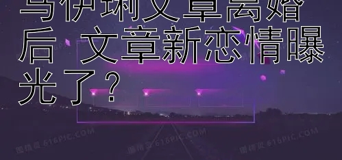 马伊琍文章离婚后 文章新恋情曝光了？