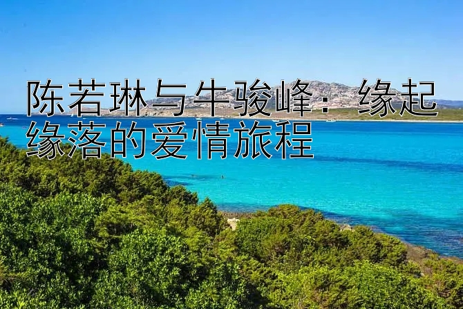 陈若琳与牛骏峰：缘起缘落的爱情旅程